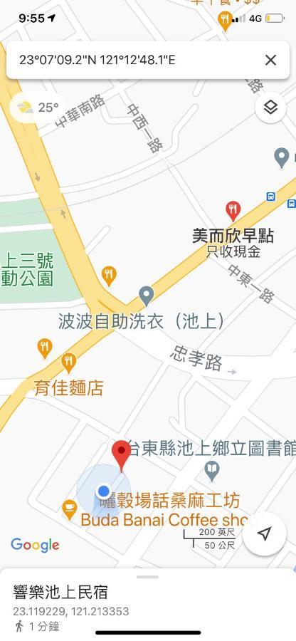 響樂池上電梯民宿1663 Chishang Music Guesthouse Экстерьер фото